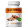 MycoMedica Reishi triterpen 90 kapslí