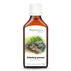 093 - Zakalený pramen