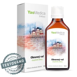095 - Obranný val