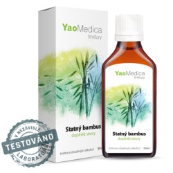 097 - Statný bambus
