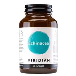 Viridian Echinacea