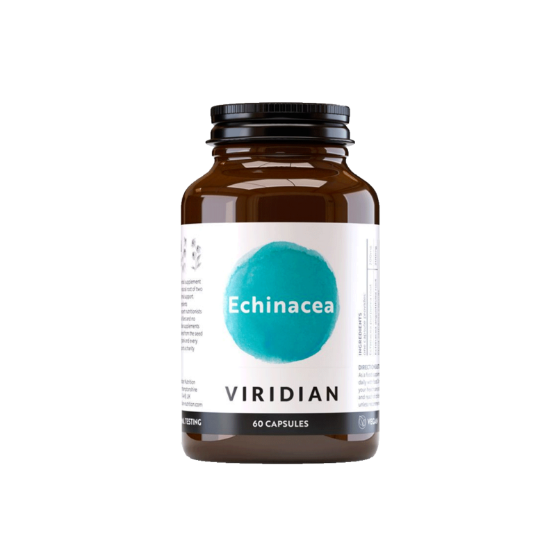 Viridian Echinacea