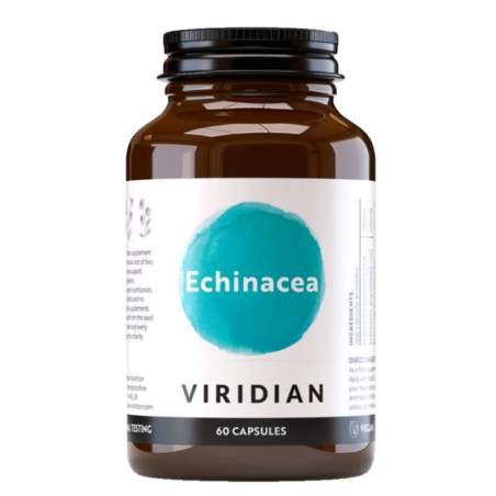 Viridian Echinacea