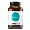 Viridian Echinacea