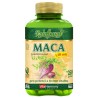 VitaHarmony Maca