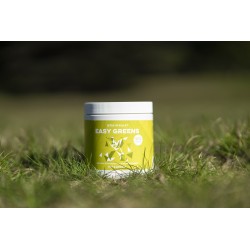 BrainMax Easy Greens, Limetka, 10 g, VZOREK