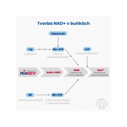 BrainMax NAD+ RiaGev®, 750 mg, 100 rostlinných kapslí
