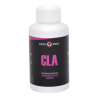 Czech Virus CLA