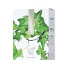 Energy Offtusin 60 tablet