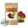 Mycomedica Auricularia prášek BIO 100g