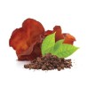 Mycomedica Auricularia prášek BIO 100g