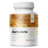 MycoMedica Auricularia PRO 90 kapslí