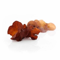 MycoMedica Auricularia sušená 100 gramů