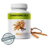MycoMedica Cordyceps CS-4 90 kapslí