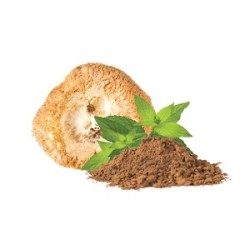 Mycomedica Hericium prášek BIO 100g