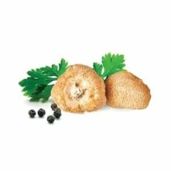 MycoMedica Hericium sušené 100 gramů