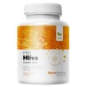 MycoMedica Hlíva PRO 90 kapslí