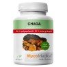 MycoMedica Chaga 50 % 90 kapslí