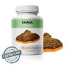 MycoMedica Chaga 90 kapslí