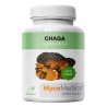 MycoMedica Chaga 90 kapslí