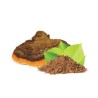 Mycomedica Chaga prášek BIO 100g