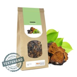 MycoMedica Chaga sušená 100 gramů