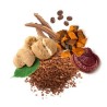 MycoMedica MycoCoffee