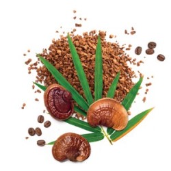 MycoMedica MycoLatte sáček 21g