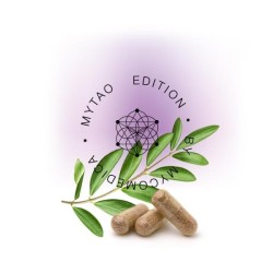 MycoMedica MyTao - MyAge 90 kapslí