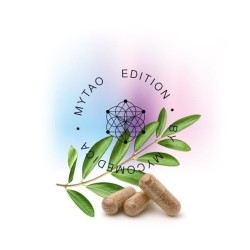 MycoMedica MyTao - MyKidney 90 kapslí
