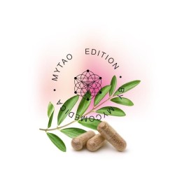 MycoMedica MyTao - MySpleen 90 kapslí