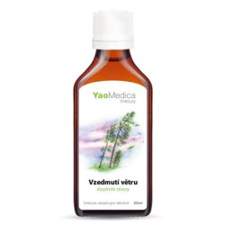 091 - Vzedmutí větru