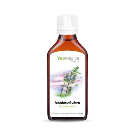 091 - Vzedmutí větru