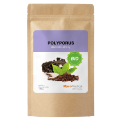 Mycomedica Polyporus prášek BIO 100g