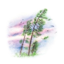 091 - Vzedmutí větru