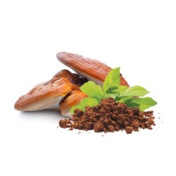 Mycomedica Reishi prášek BIO 100g
